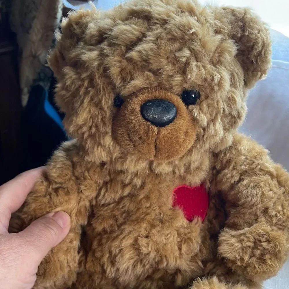 10” DGE plush curly haired Teddy bear with red heart.